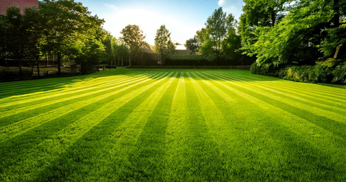 Hopply Lawn Care Services picture of a freshly mowed lawn